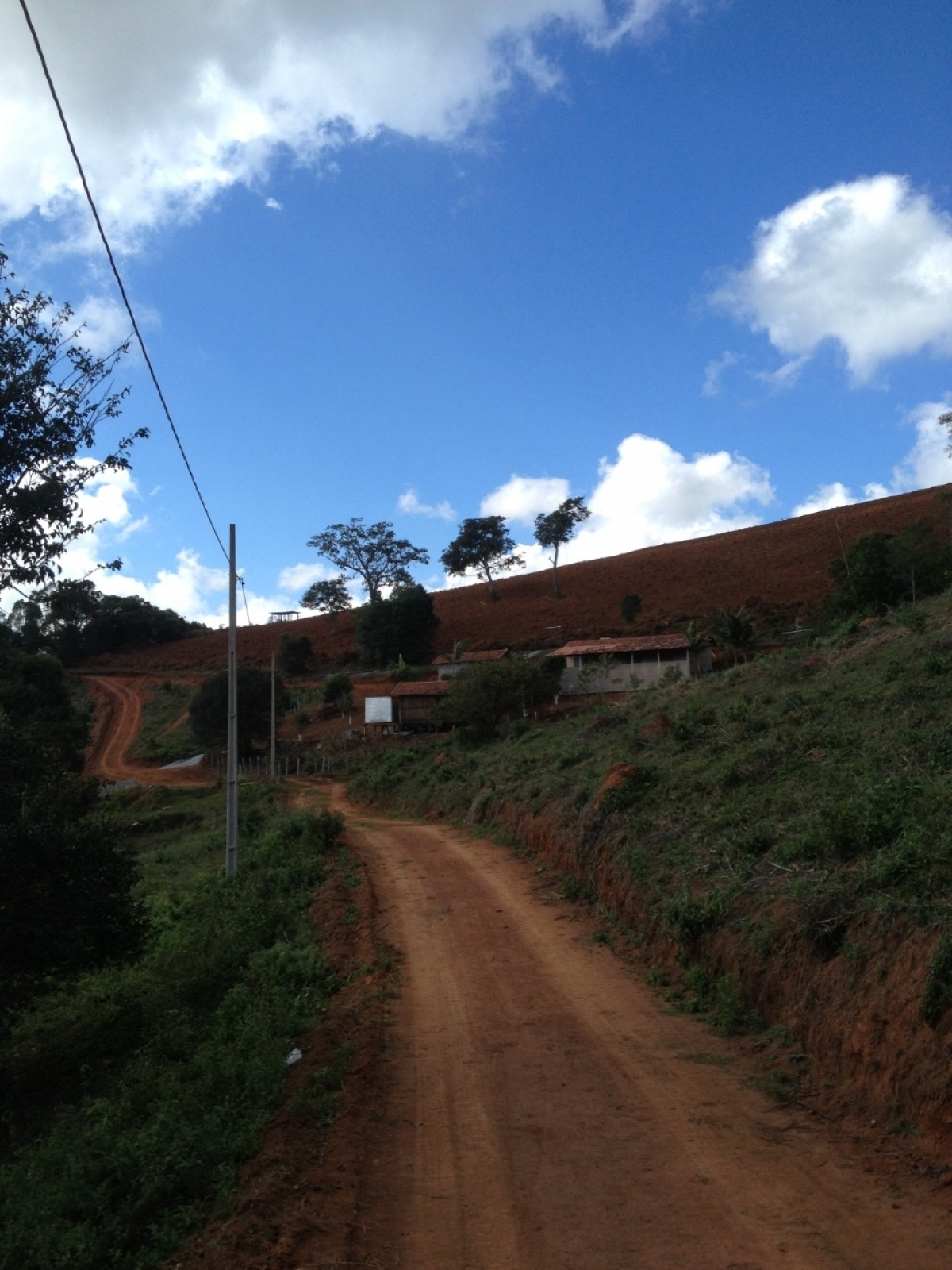 Fazenda de café Sul de MG