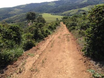 Fazenda de café Sul de MG