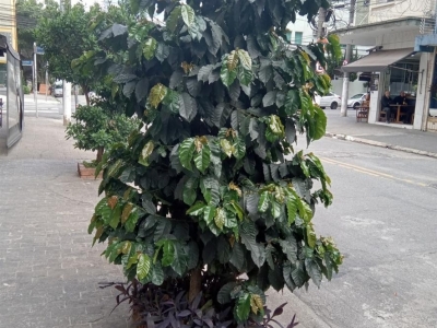 Comercio e Locação 