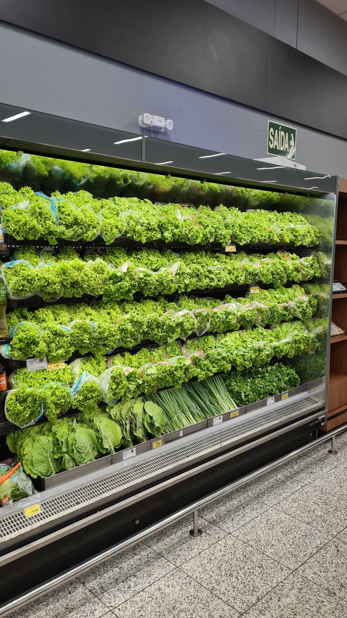 Verduras distribuição 