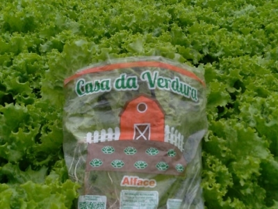 Verduras distribuição 