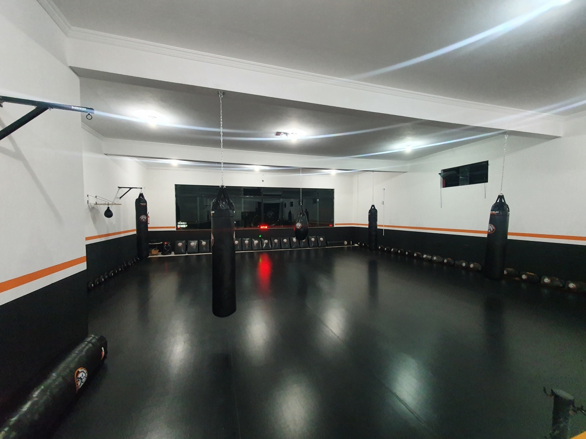 Academia de artes marciais! FRANQUIA!