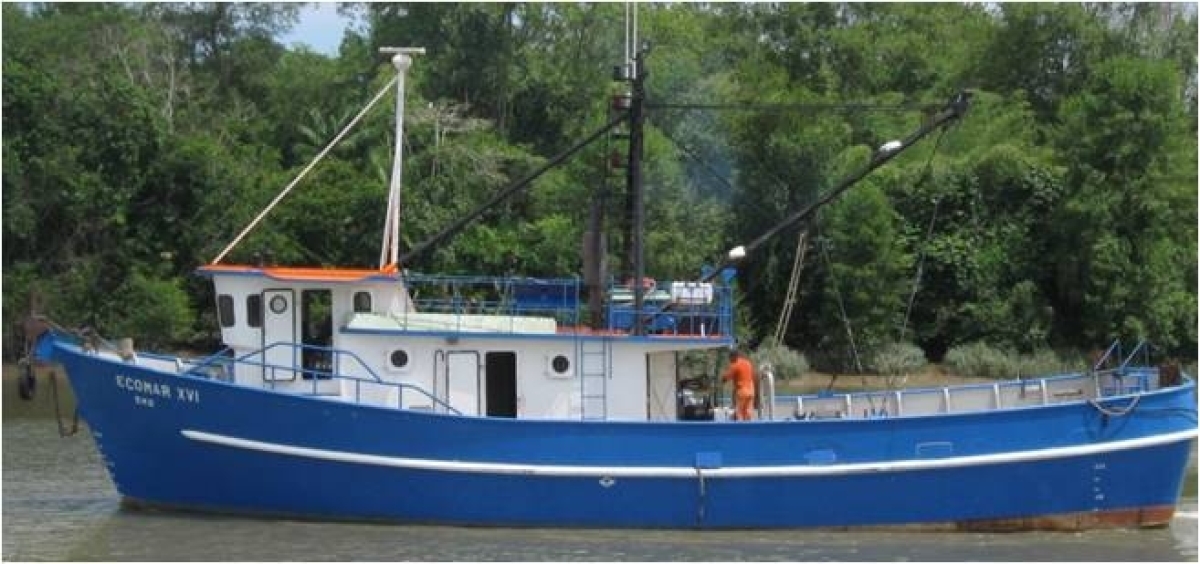 INDUSTRIA DE PESCA NO PARÁ