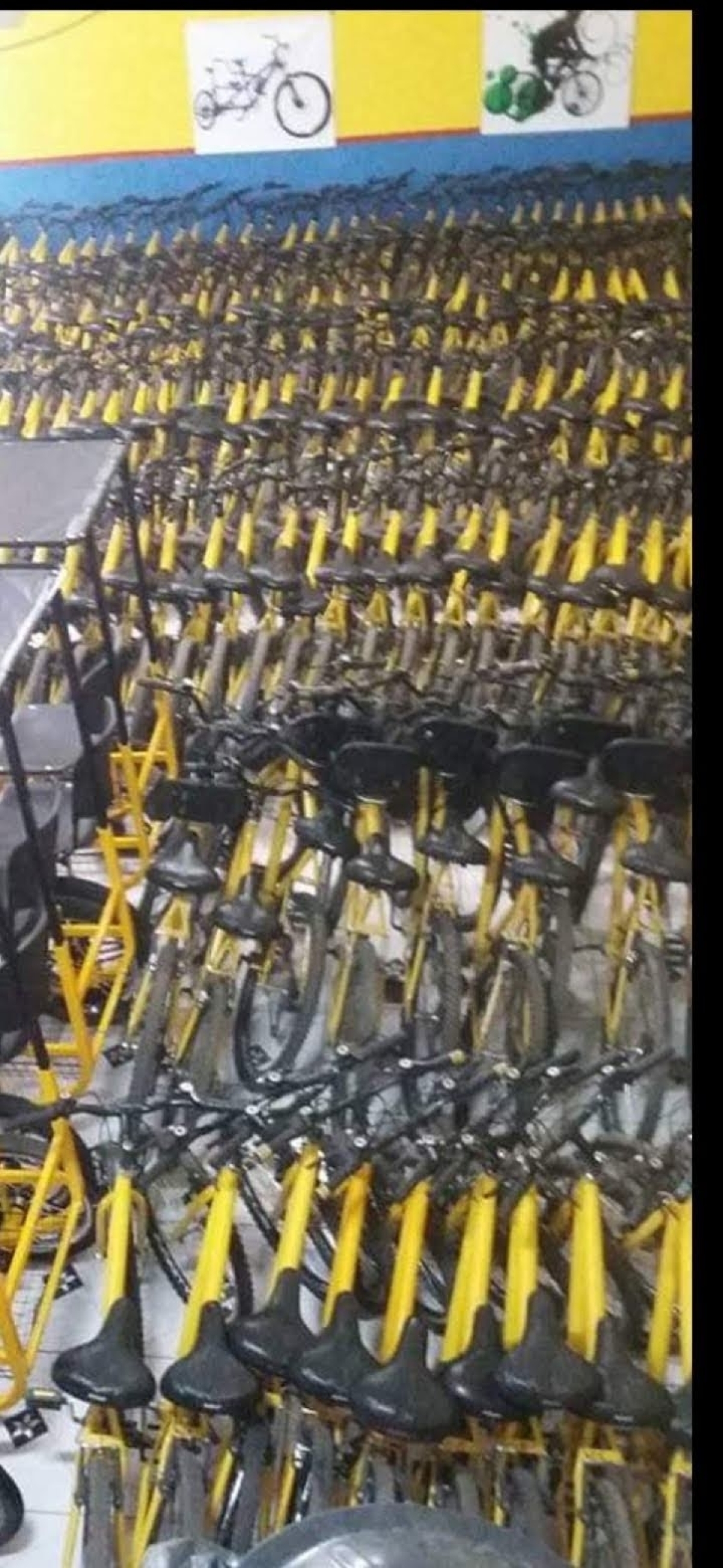 Vendo LOJA DE ALUGUEL DE BICICLETAS