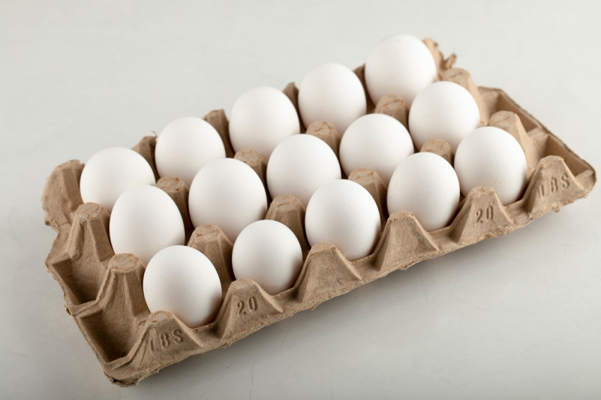 Vendo Granja avícola produção de ovos