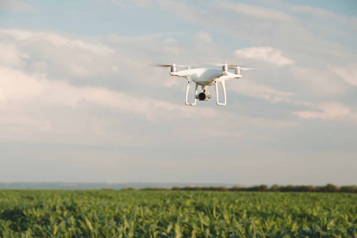 Vendo Distribuição e Revenda de Drones Agrícolas