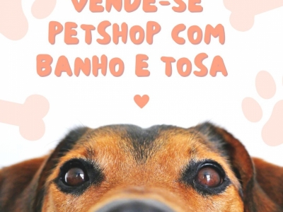 Petshop novo e completo. 