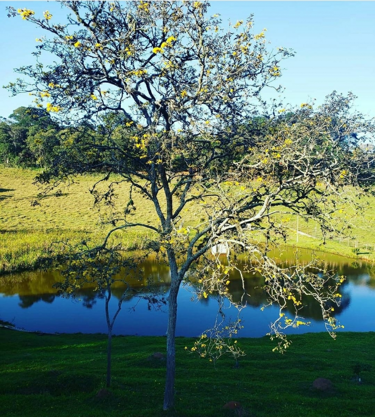 Acampamento de férias e escolar 