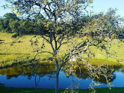 Acampamento de férias e escolar 