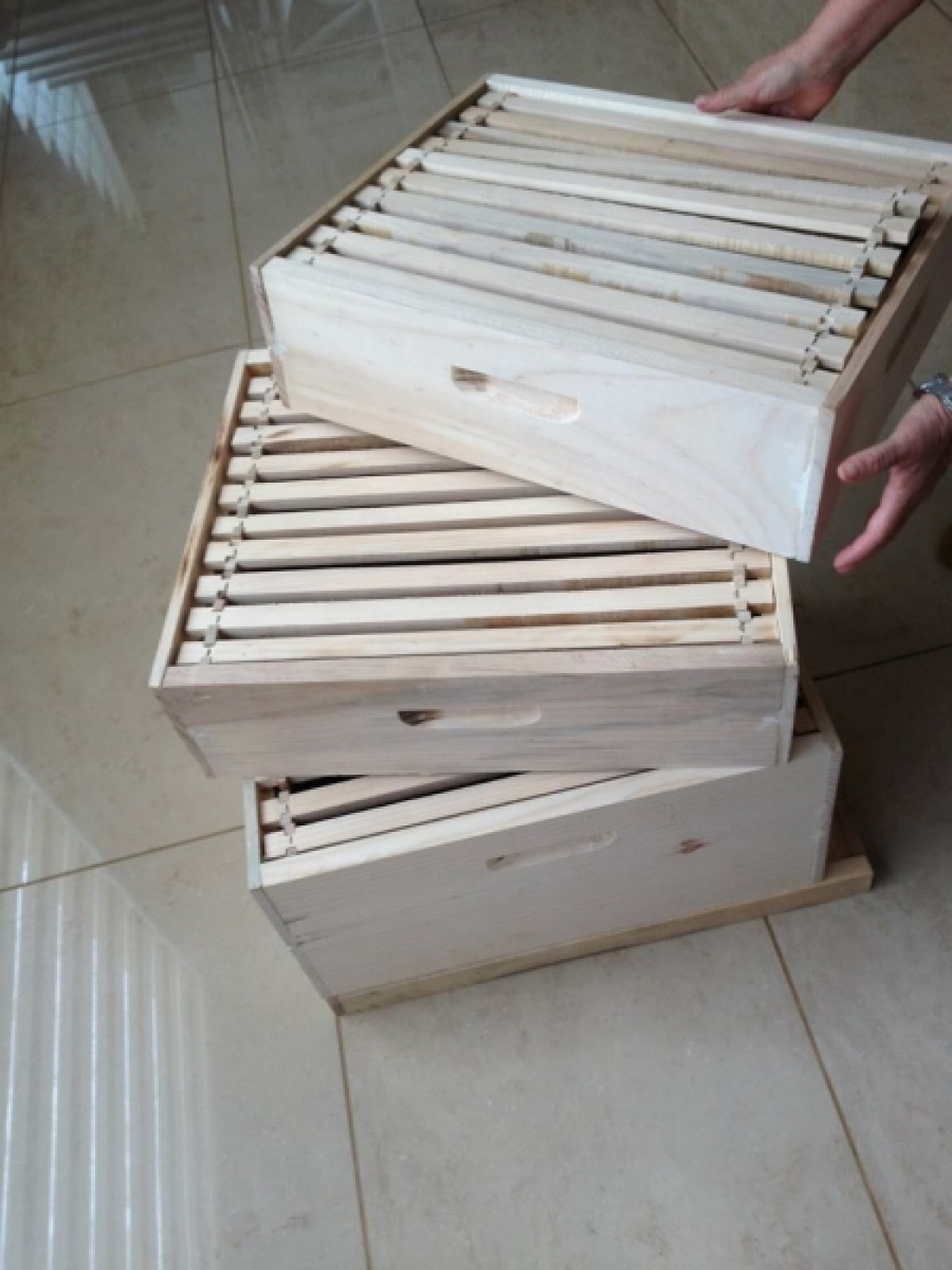 Vendo fabrica de caixas para apicultura
