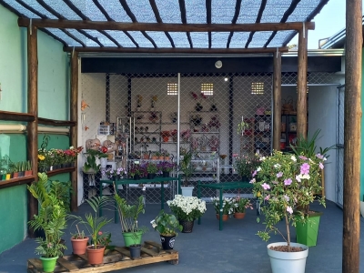 Floricultura em Valinhos