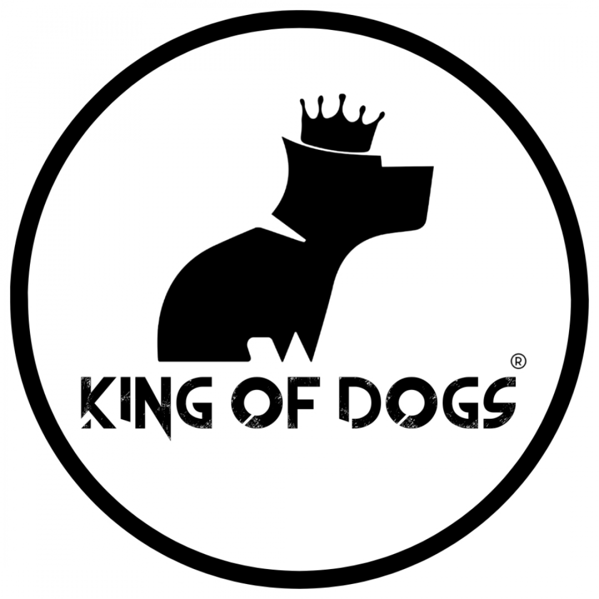 Marca de Acessórios Pet Premium - Atuação Nacional