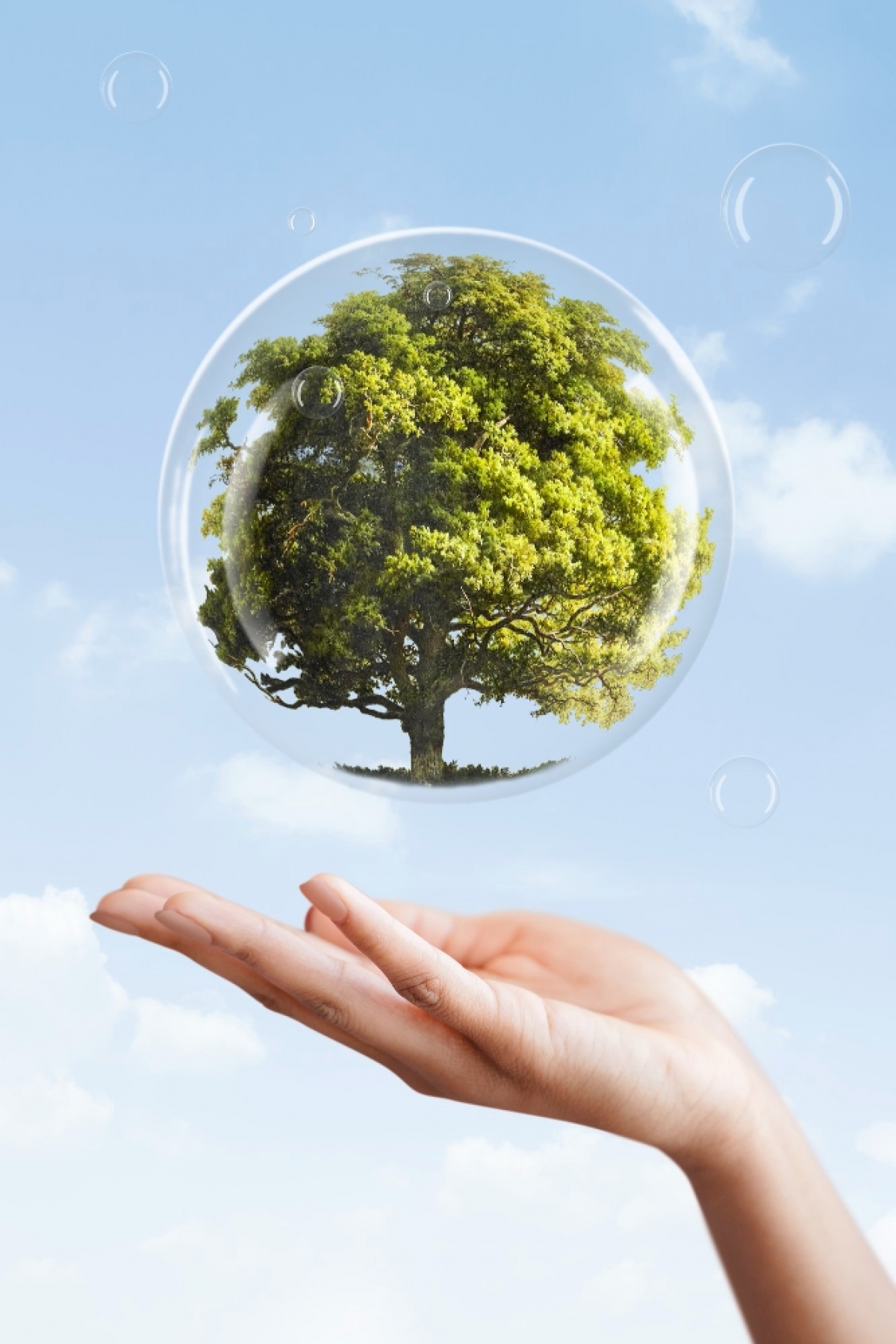 Vendo Empresa de consultoria ambiental