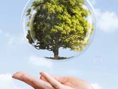 Vendo Empresa de consultoria ambiental