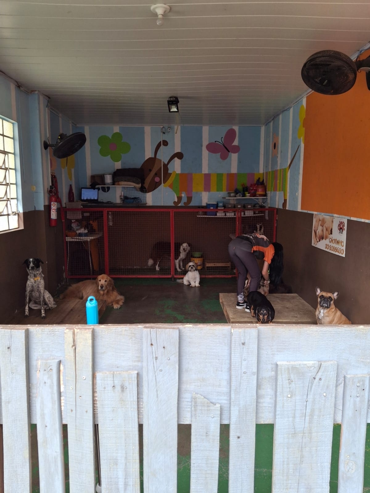 Venda de Creche e Hotel de cães