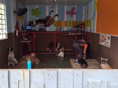 Venda de Creche e Hotel de cães