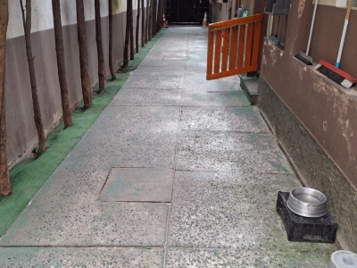 Venda de Creche e Hotel de cães