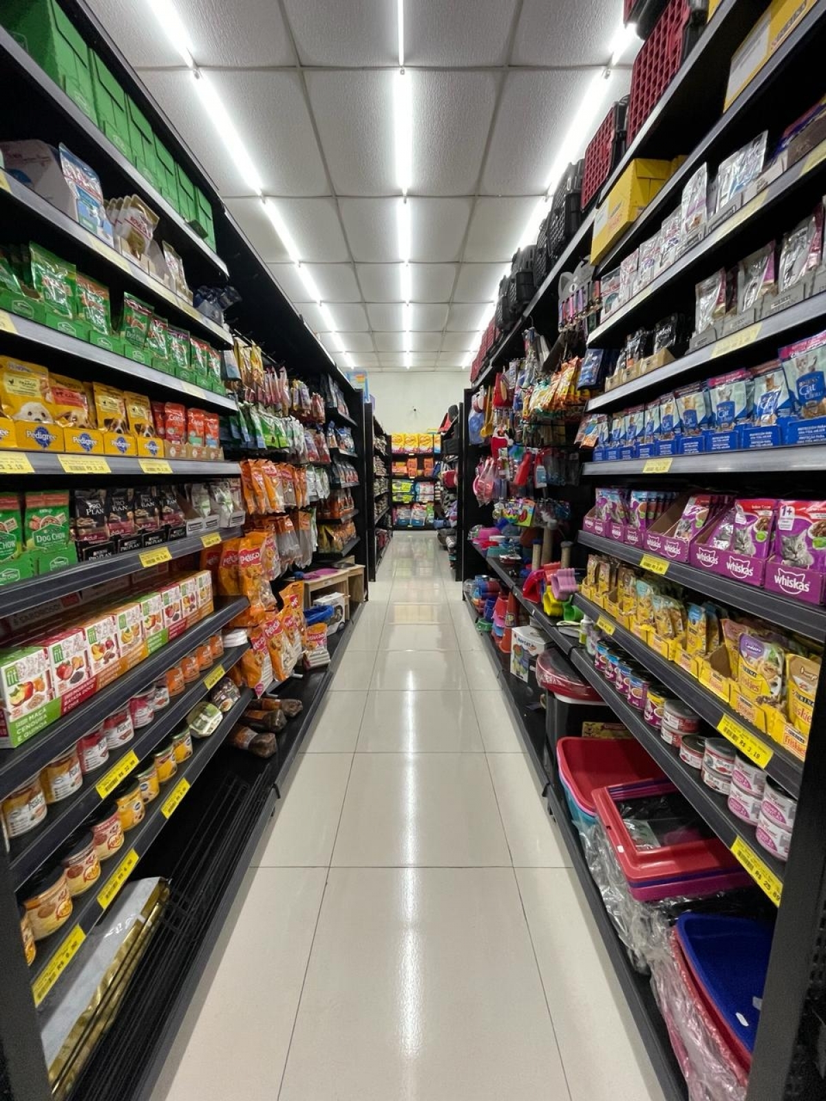 Pet Shop à Venda – Excelente Oportunidade de Negócio