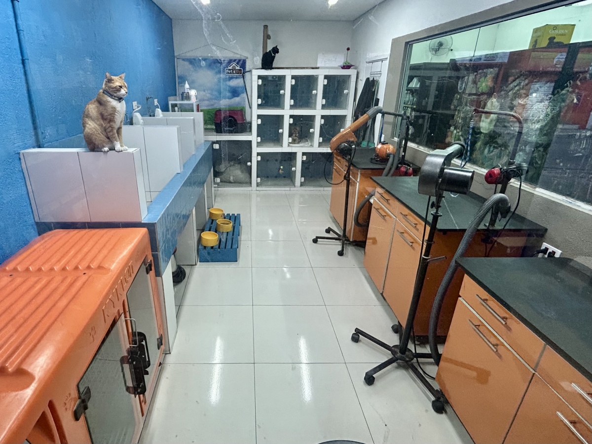 Pet Shop à Venda – Excelente Oportunidade de Negócio