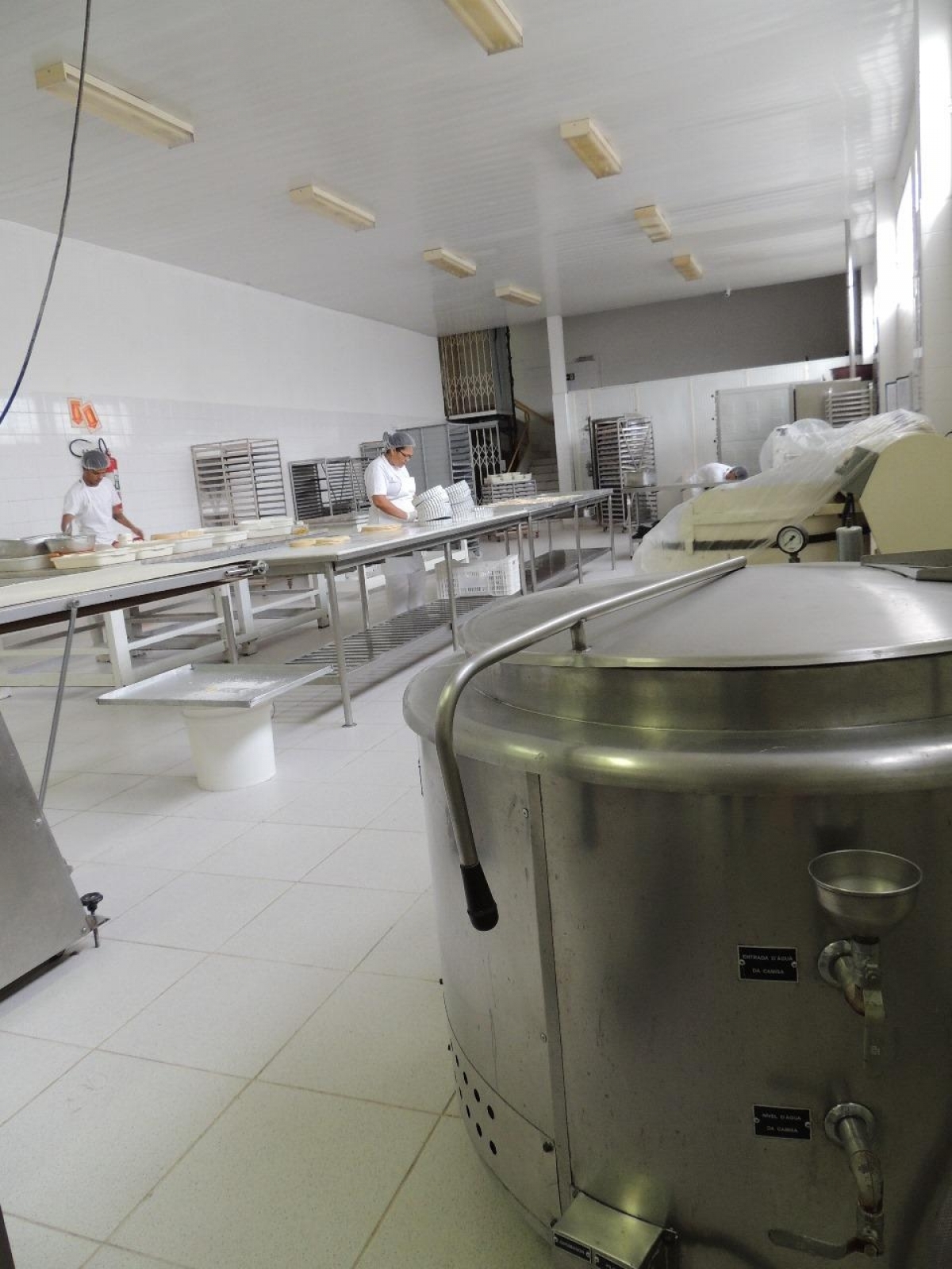 Loja e Industria de alimentos congelados