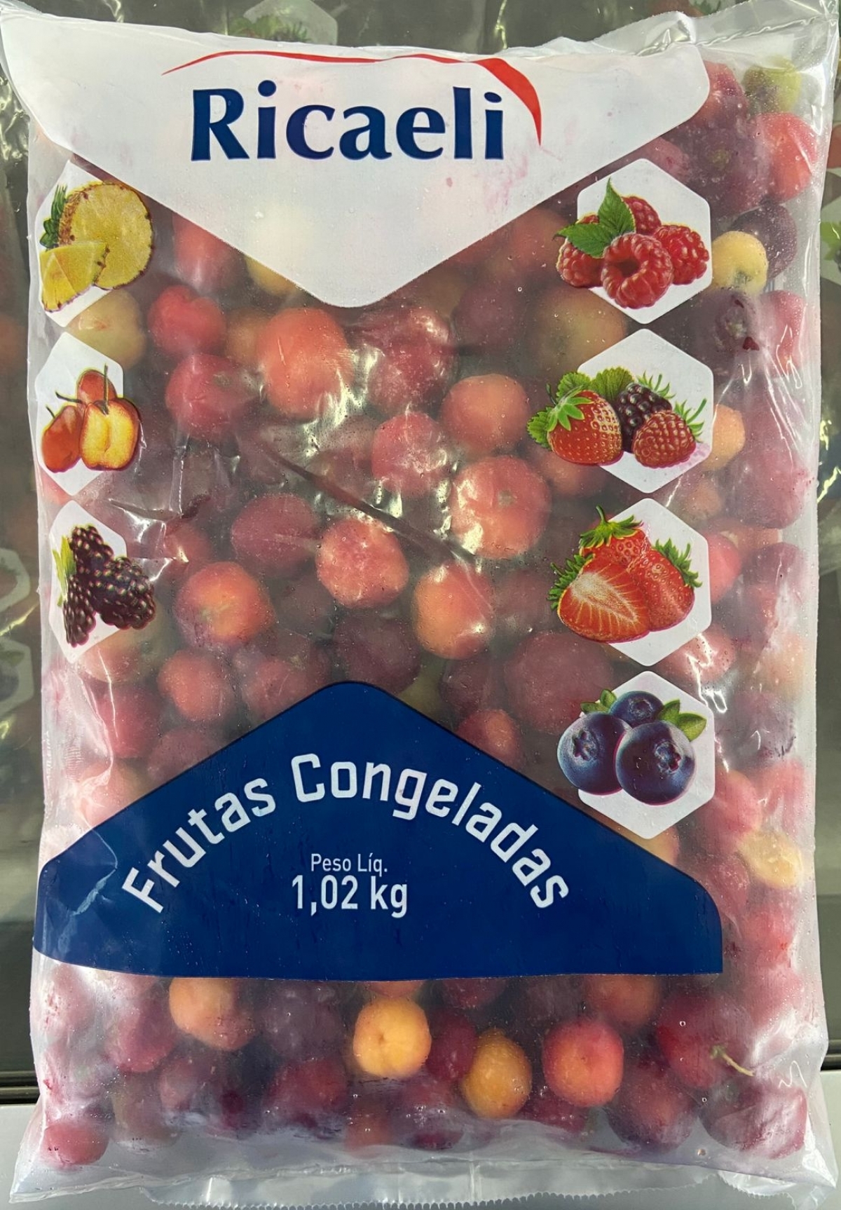 Fabrica de frutas congeladas 