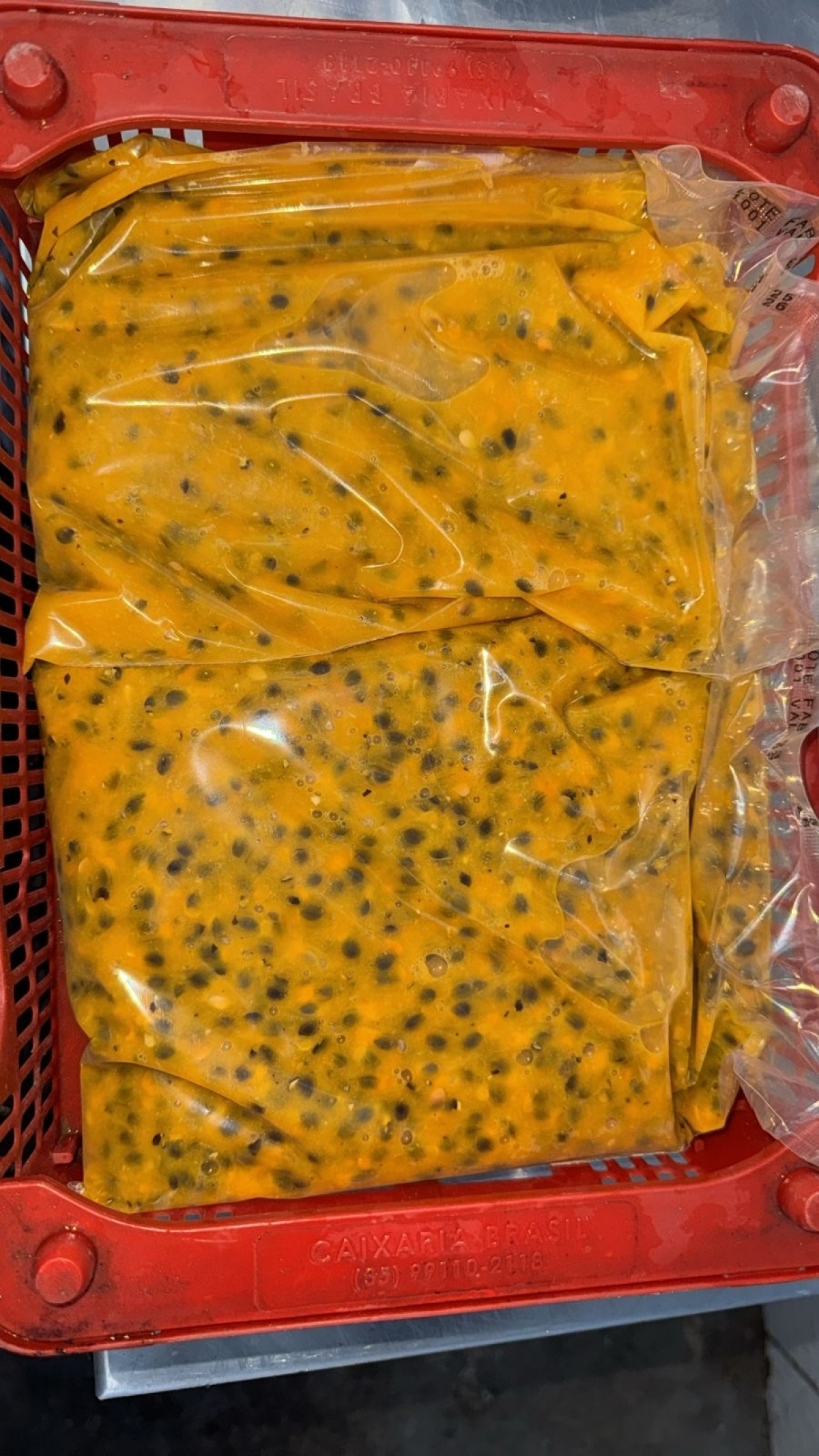 Fabrica de frutas congeladas 