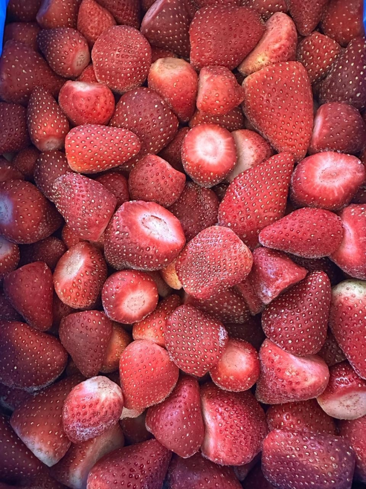 Fabrica de frutas congeladas 