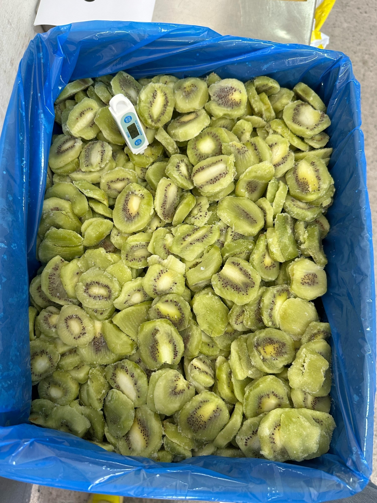 Fabrica de frutas congeladas 