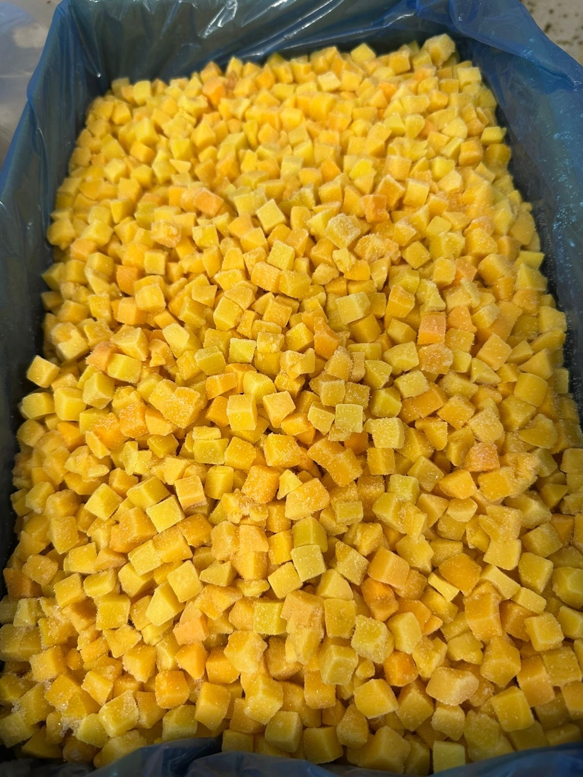 Fabrica de frutas congeladas 