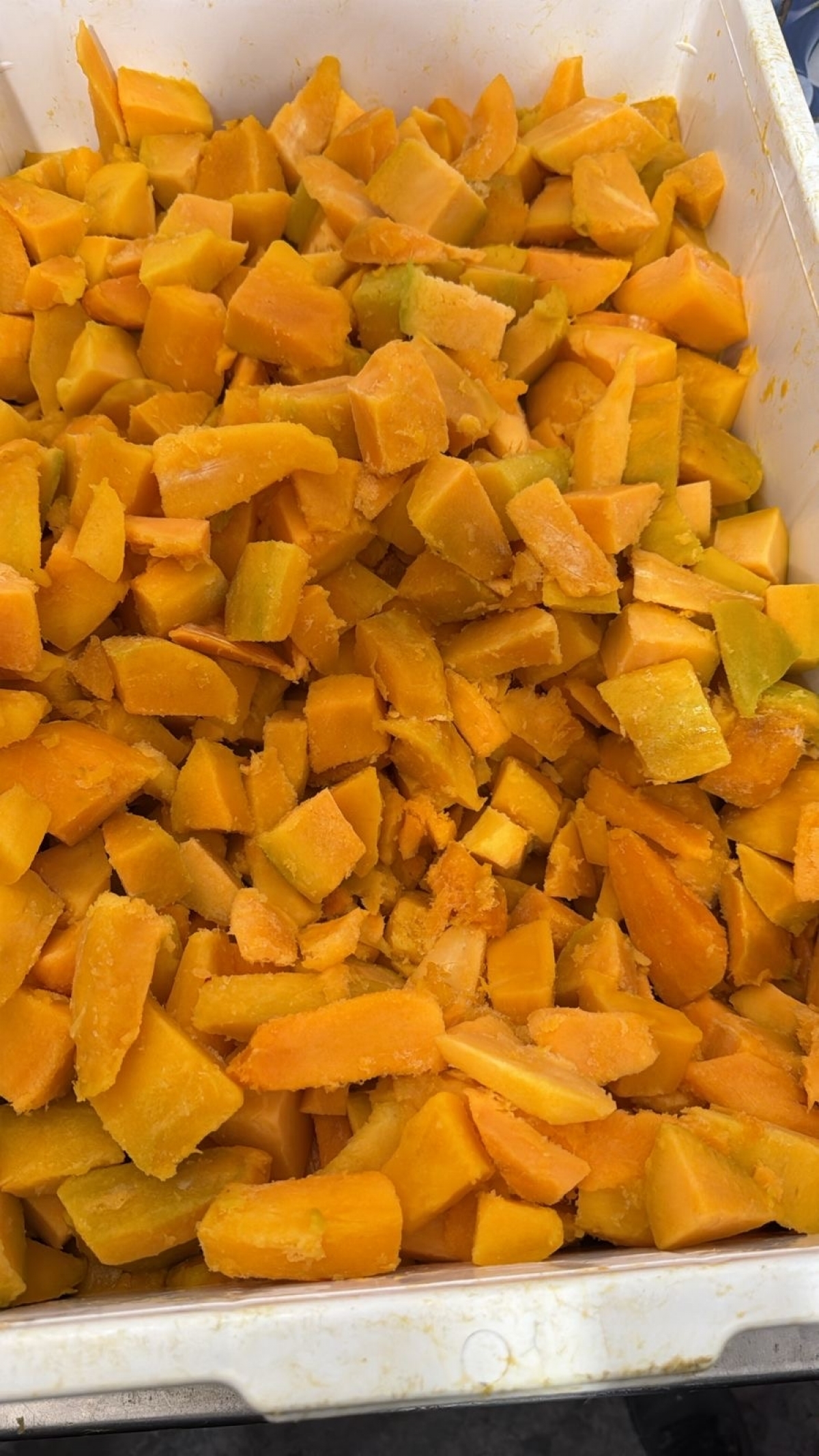 Fabrica de frutas congeladas 