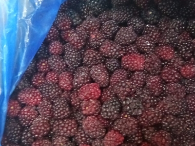 Fabrica de frutas congeladas 