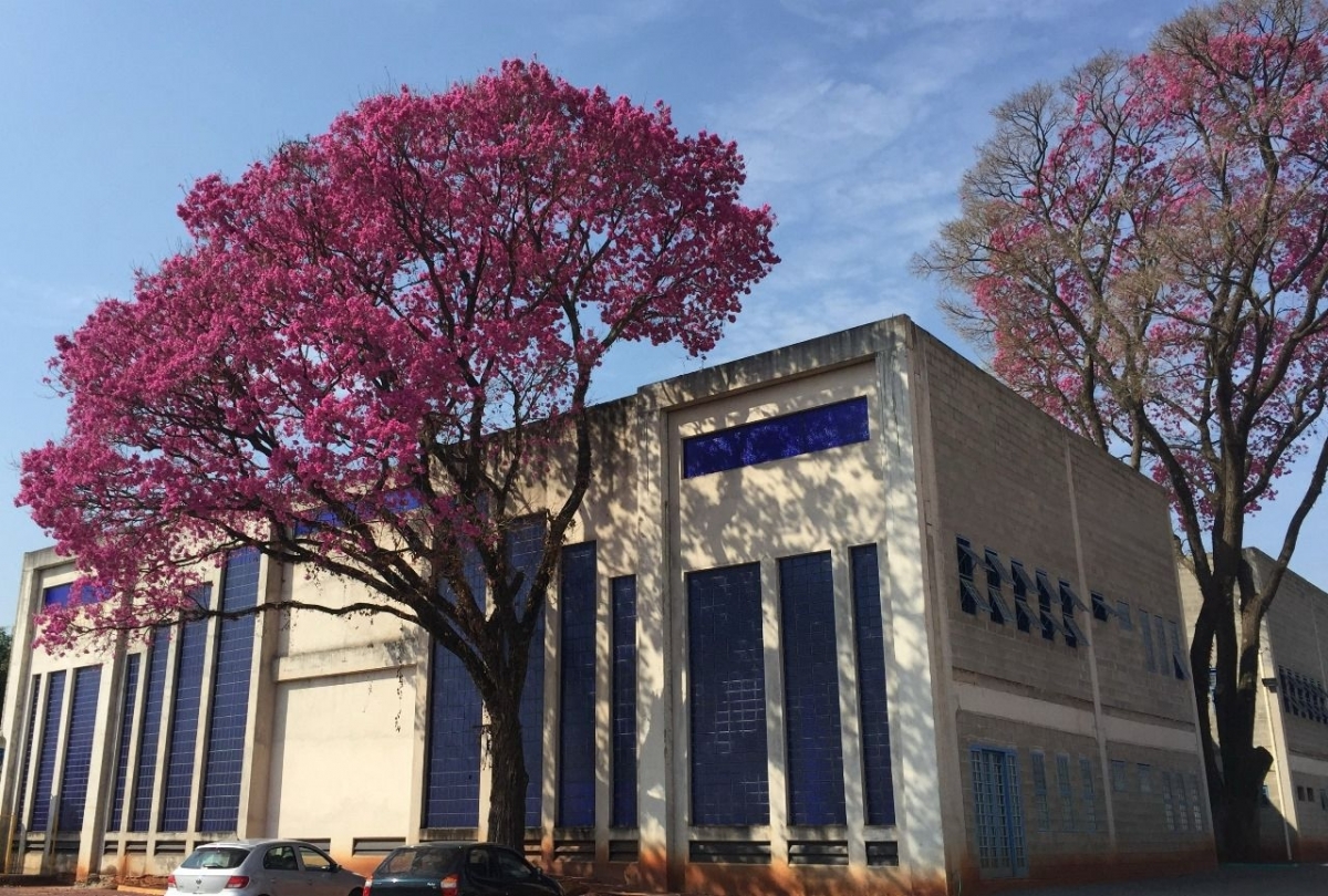 Vende-se Empresa e o imóvel
