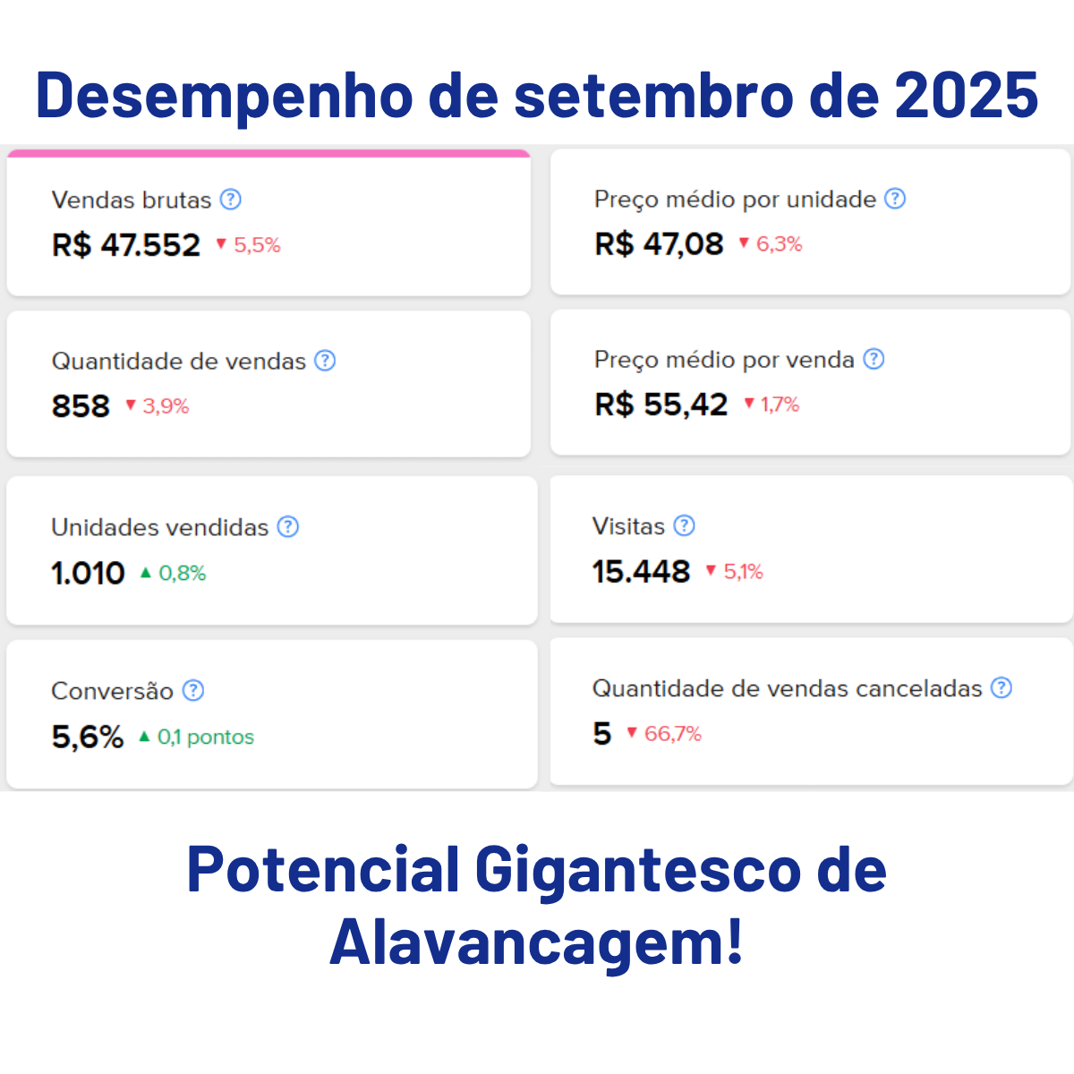 Empresa e Conta Mercado Livre à Venda – Filial dentro do CD Perus (Oportunidade Única)
