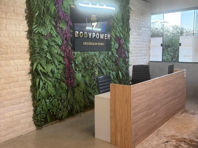 Academia Eletroestimulação e BungeeFit