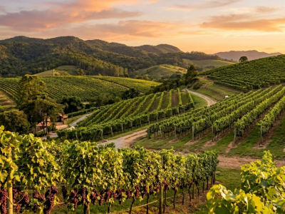 Pousada em São Roque