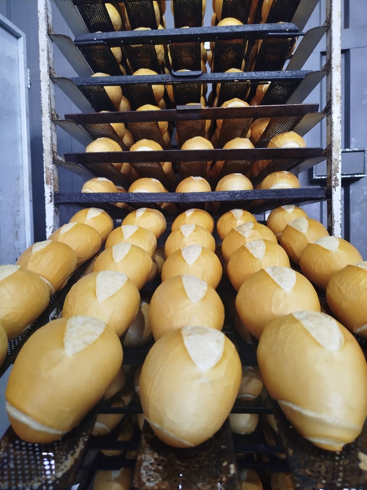 Vendo Padaria Industrial 