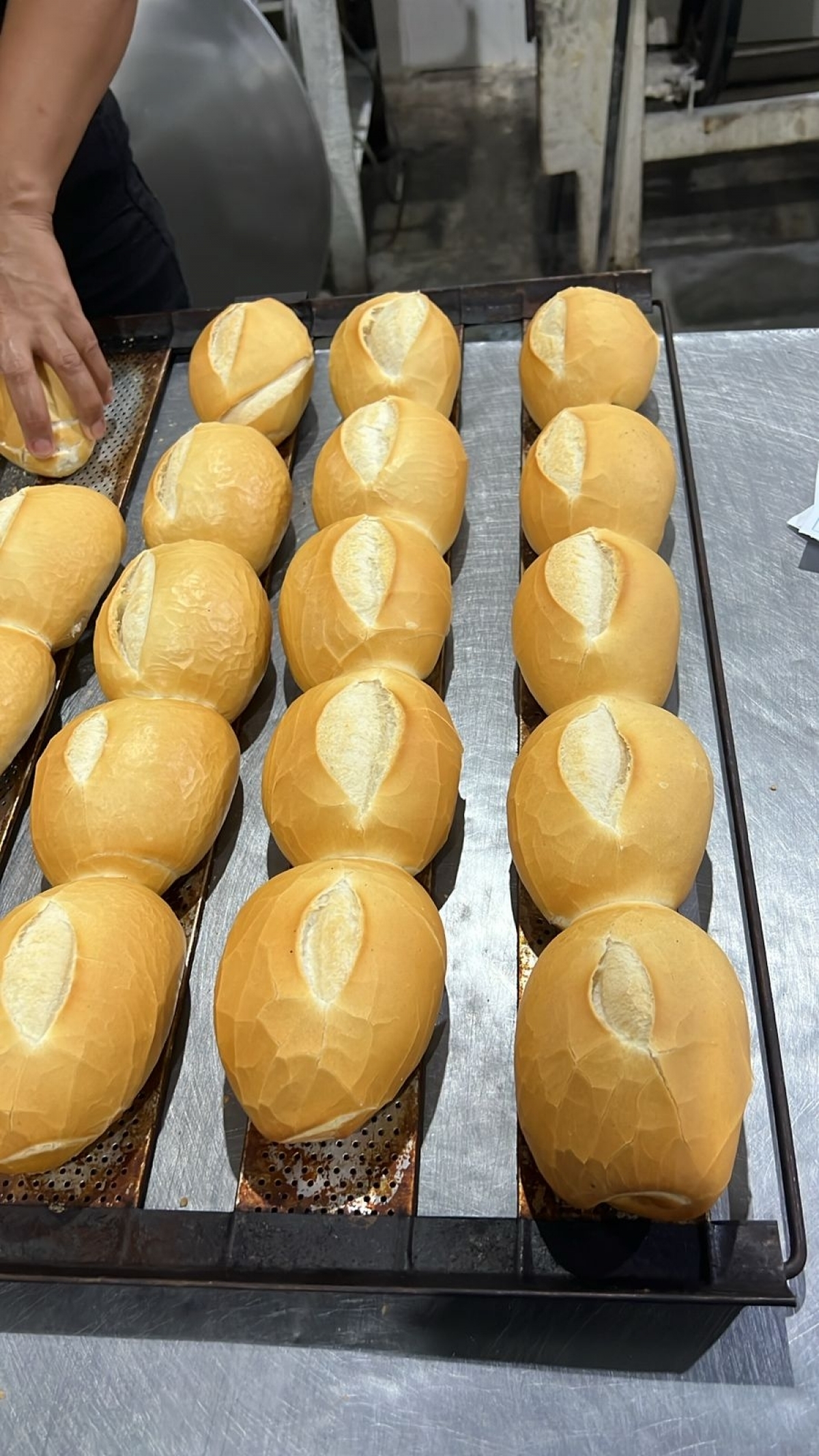 Vendo Padaria Industrial 