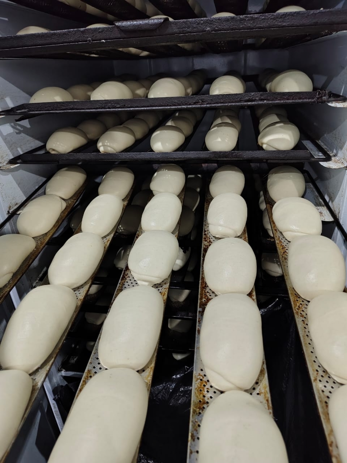 Vendo Padaria Industrial 