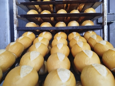 Vendo Padaria Industrial 