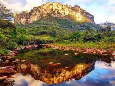 restaurante e pizzaria ediversos artigos tipo uma mini galeria