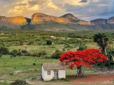 restaurante e pizzaria ediversos artigos tipo uma mini galeria