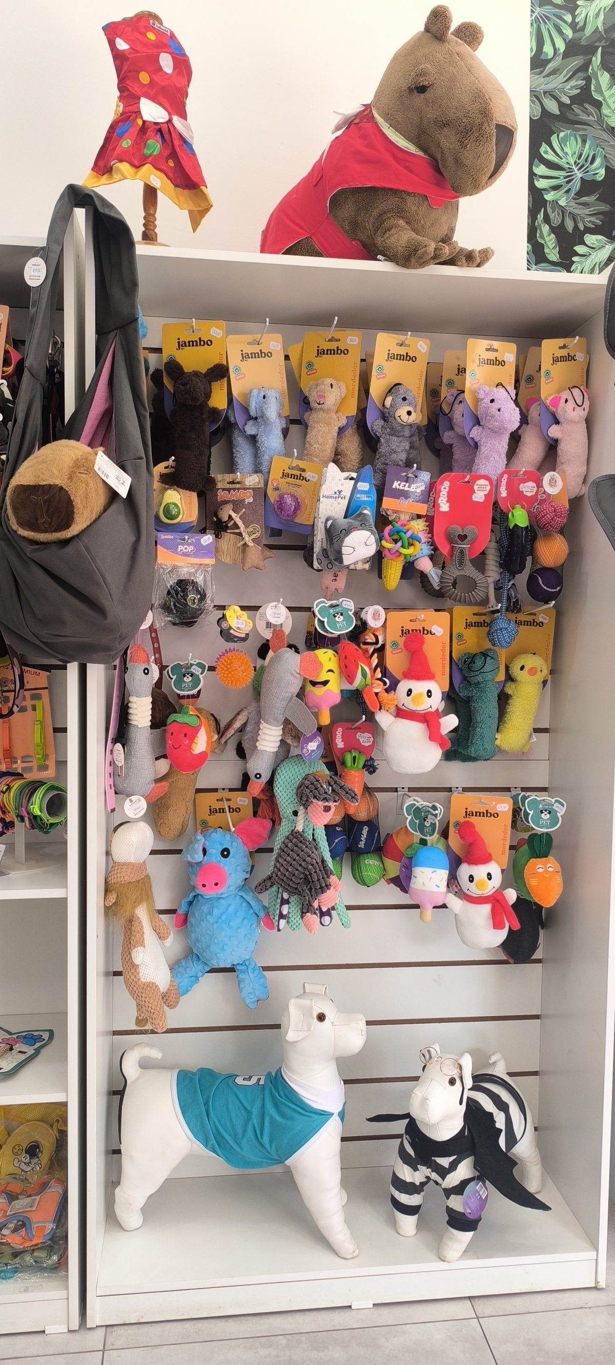 Vendo modelo de negócio +  estoque pet + montagem de loja + fornecedores (SEM ponto)