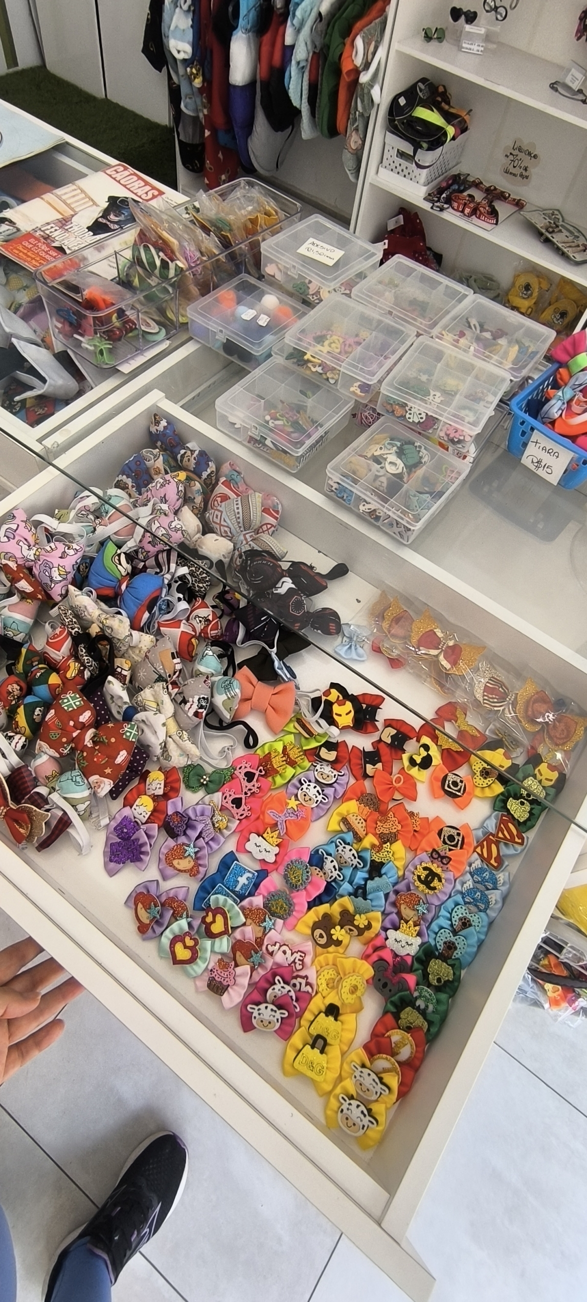 Vendo modelo de negócio +  estoque pet + montagem de loja + fornecedores (SEM ponto)