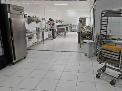 Produção de Alimento Natural para cães e gatos