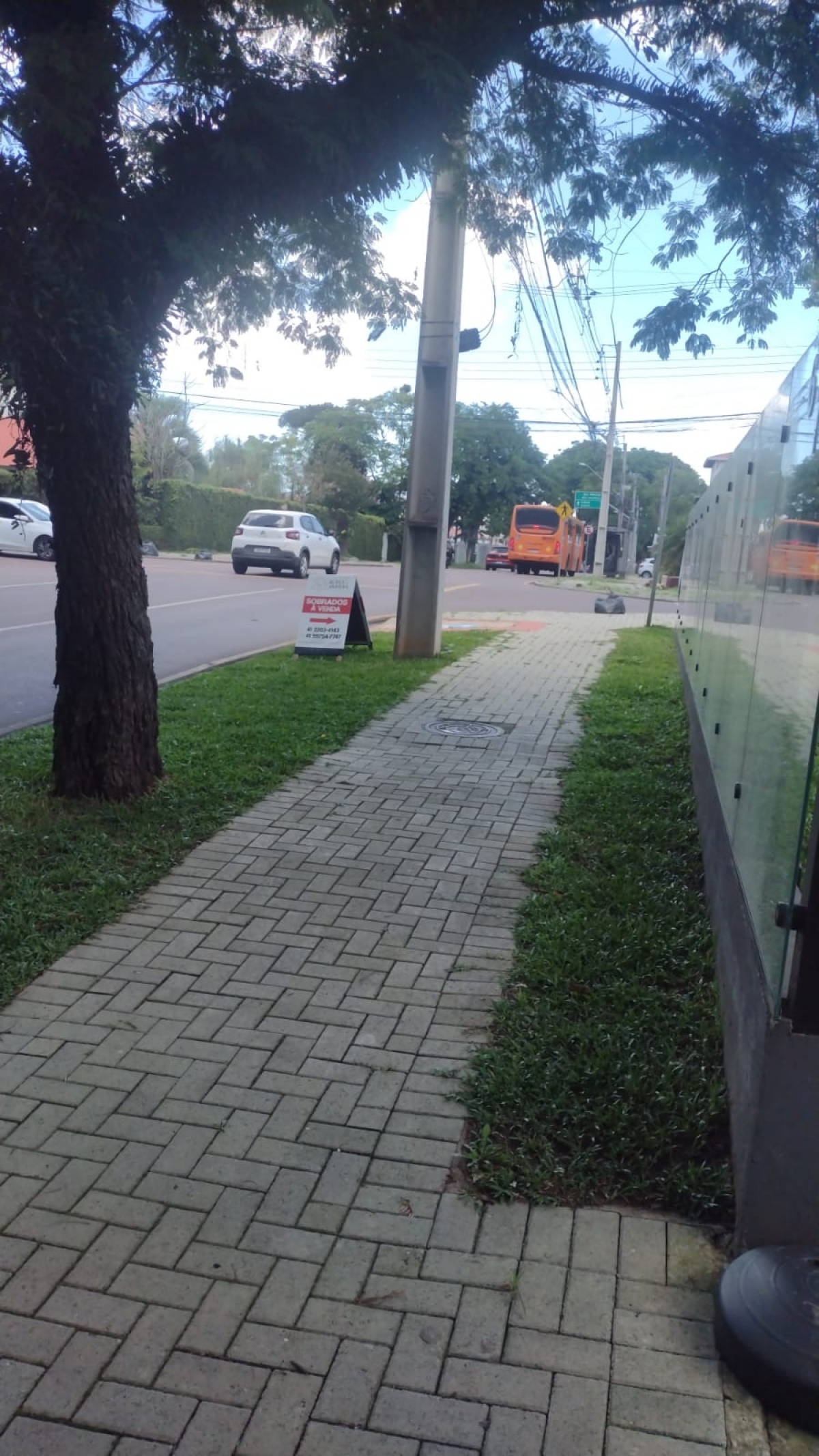 COMERCIO AGROPECUARIO