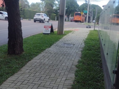 COMERCIO AGROPECUARIO