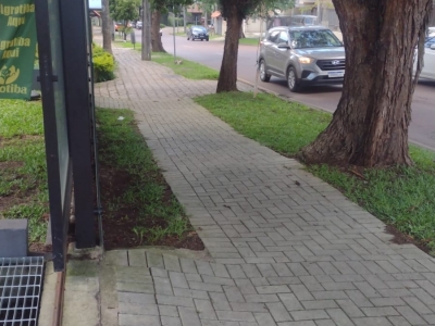 COMERCIO AGROPECUARIO