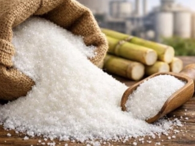 Vendo companhia S.A trading - agro comoditis 