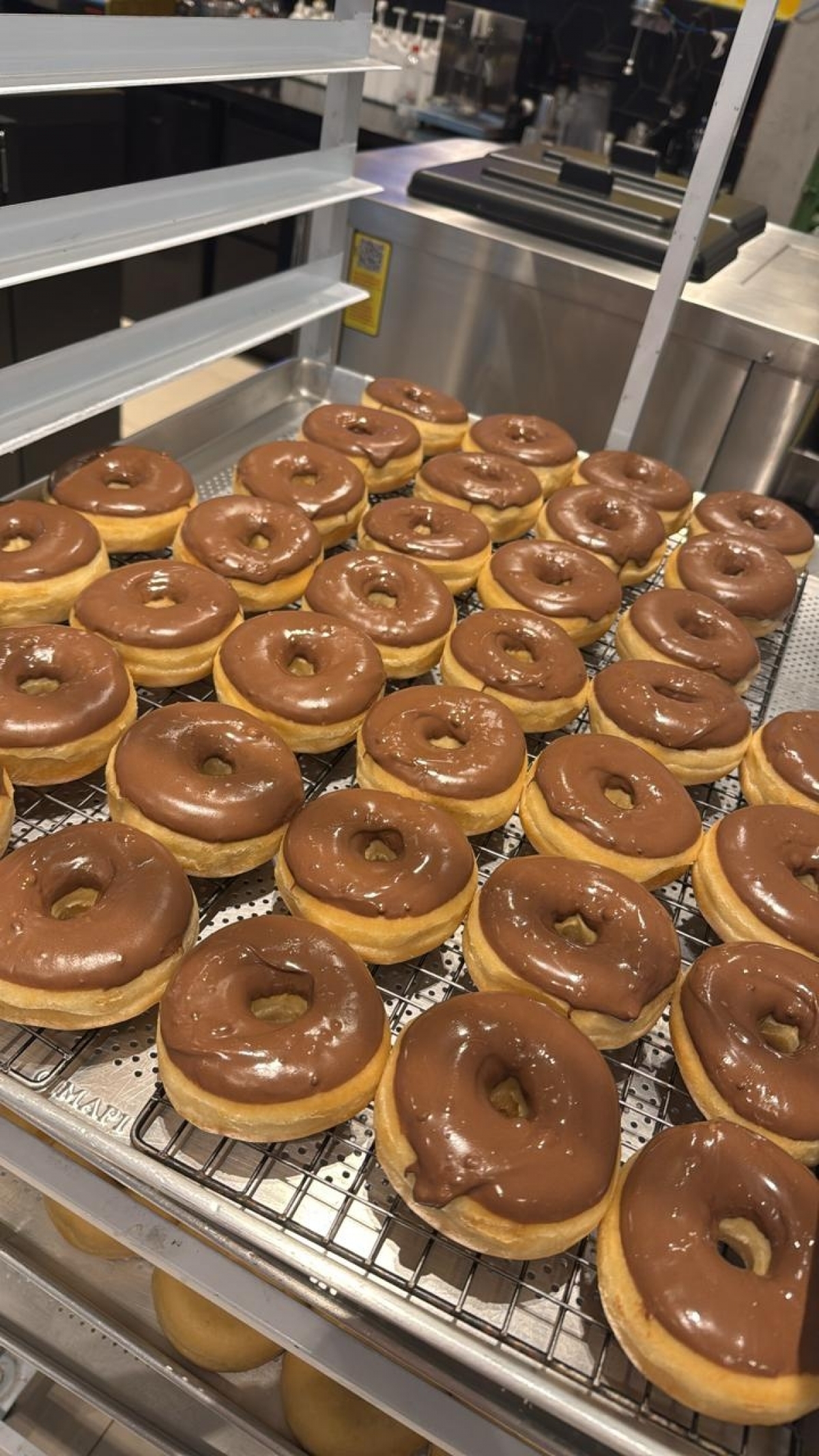 Estilo Krispy Kreme - Negócio Único Fábrica de Donuts