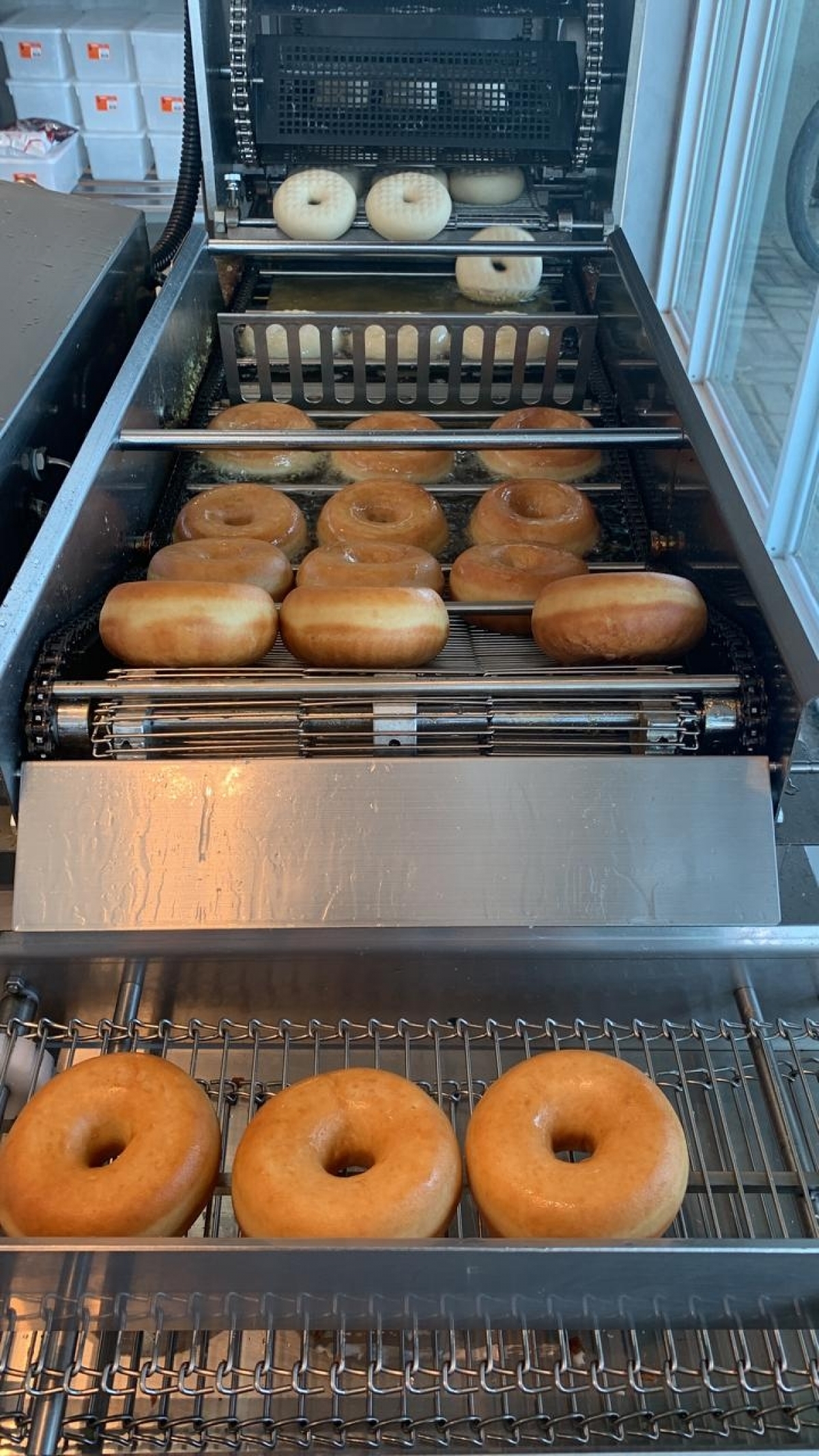 Estilo Krispy Kreme - Negócio Único Fábrica de Donuts